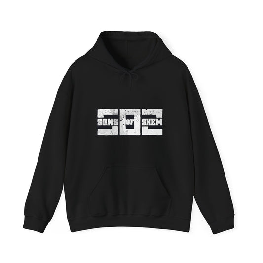 Sons of Shem Hooded Sweatshirt - Enter the Pit Unisex Heavy Blend